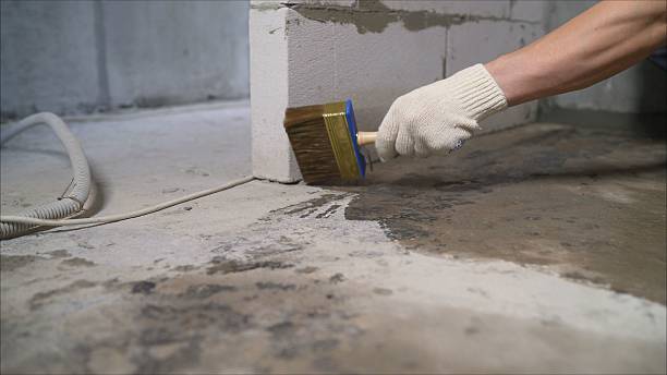 24/7 Emergency Wet Basement Repair experts in Sand Creek, MI